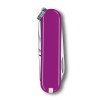 Classic Colors «Tasty Grape»  | 0.6223.52G √