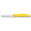 Cuchillo SwissClassic mondador dentado punta 8cm | 6.7636.L114 |  6.7636.L115 |  6.7636.L118 |  6.7636.L119 √