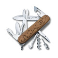Climber Wood For You Special Edition 2020 | 1.3704.63E2 :