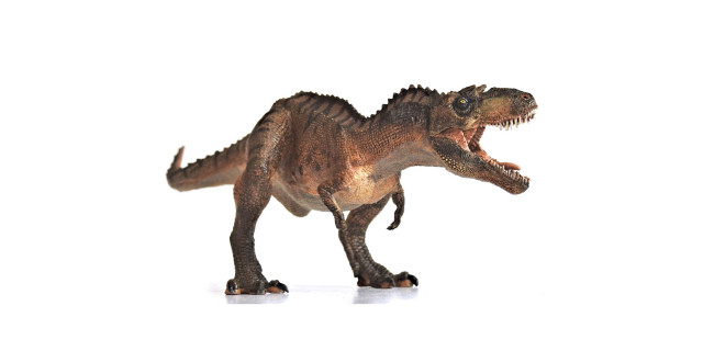 Papo - Gorgosaurus | 55074 :